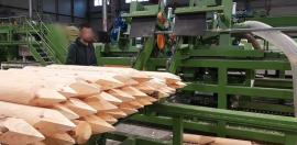 Jiná technika Kompletn výroní Linka kulů . | Pilařská technika | Dřevoobráběcí stroje | Drekos Made s.r.o