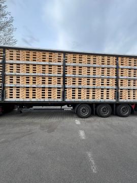 Palety Jednorázové palety | Obaly, palety | Woodproo s.r.o.